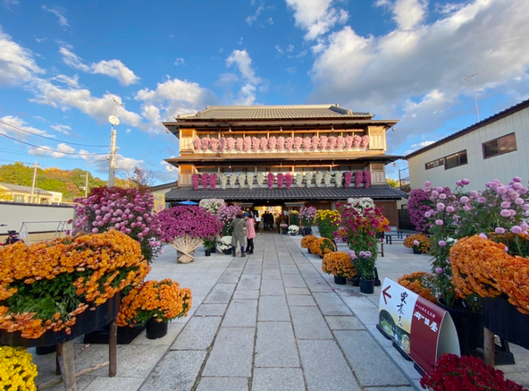 菊の花に彩られた日本三大稲荷の「笠間稲荷神社」を参拝しよう！