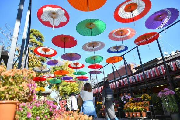 大鳥居をくぐって少し進むと見えてくる「アンブレラスカイ」