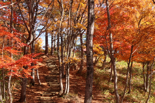 キャンプ場内遊歩道