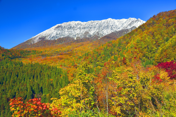 大山の南壁を背景に広がる紅葉（画像提供：銀塩一途 / PIXTA）