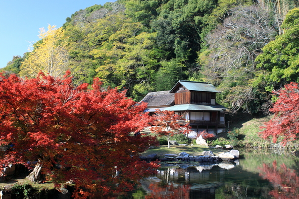 紅葉と緑の対比が美しい「近水園」（画像提供：みつき / PIXTA）
