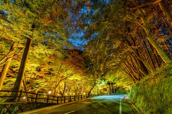ライトアップ時の様子（画像提供：岡山県観光連盟）