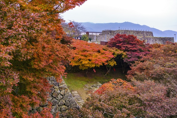 紅葉がピーク時の「津山城（鶴山公園）」（画像提供：岡山県観光連盟）