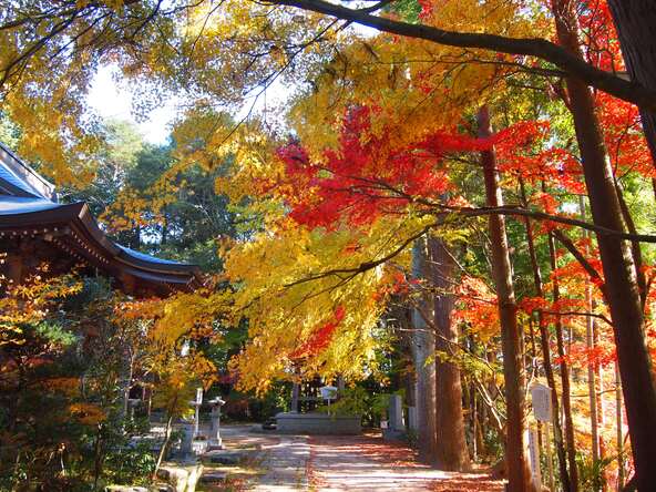 紅葉シーズンの「観音寺」境内（画像提供：岡山県観光連盟）