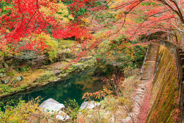 奥津渓の紅葉（画像提供：岡山県観光連盟）