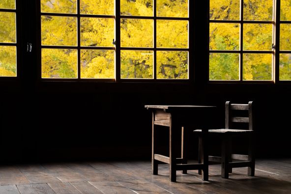 校舎内からのイチョウ