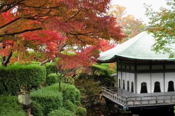 仏教✕建築✕紅葉を満喫できるスポット（画像提供：一般社団法人尾道観光協会）