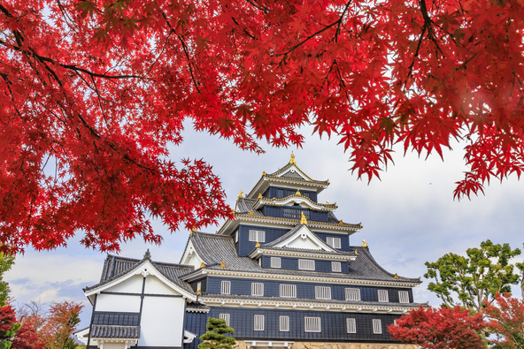 黒漆塗りの城に色鮮やかな紅葉が映えます（画像提供：岡山城オフィスK / PIXTA）