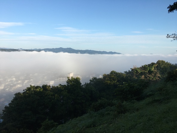 「羊山公園」から見た雲海（画像提供：秩父市観光課）