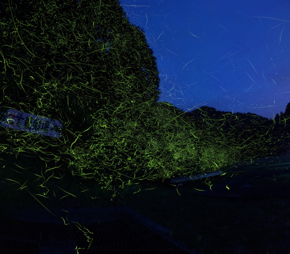 全国的に見てもかなりの飛翔量です！