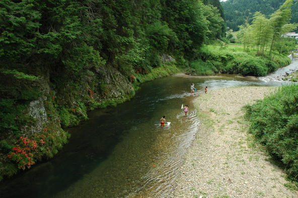 清流に住む生き物の観察にもピッタリ！