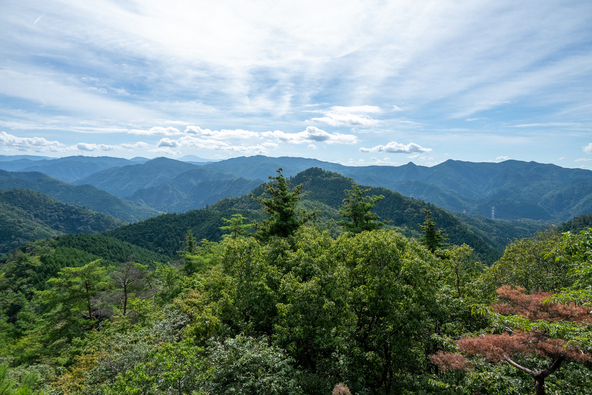 山頂には「のこりん」が待っています！