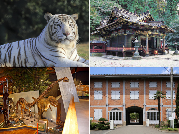 学びと遊びが同時に叶う貴重な観光地