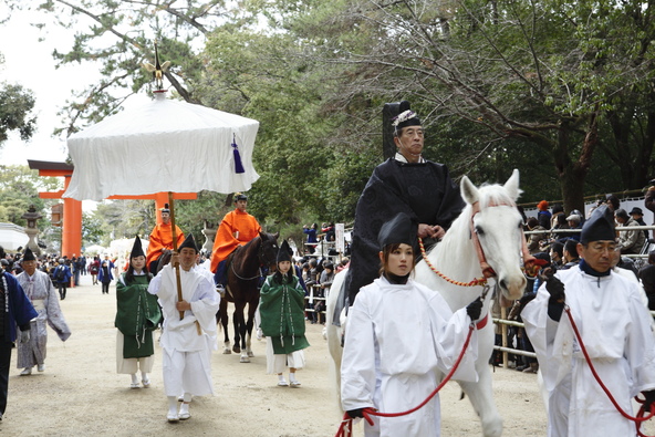 特別桟敷席の詳細はチケット販売をご確認ください