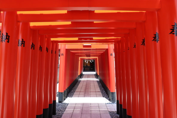 境内に立つ千本鳥居（画像提供：Airchariot / PIXTA）
