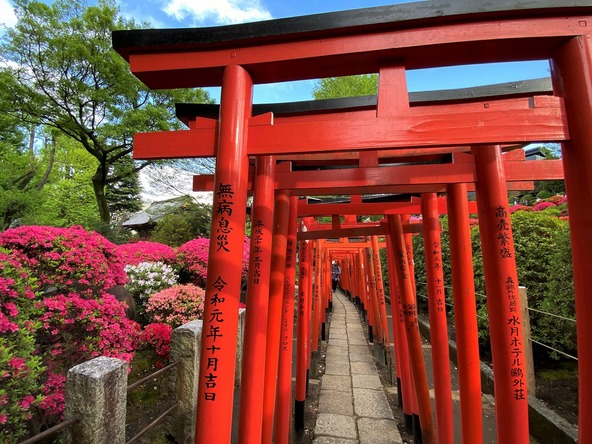 「乙女稲荷神社」へ続く千本鳥居