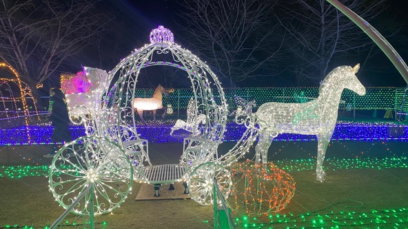 大人気の白馬の馬車！乗って撮影できます。
