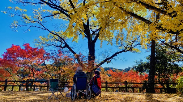 天気のいい日は絶景だらけです。