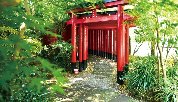 一歩進むたびに景色が変わる、千本鳥居のさんぽ道