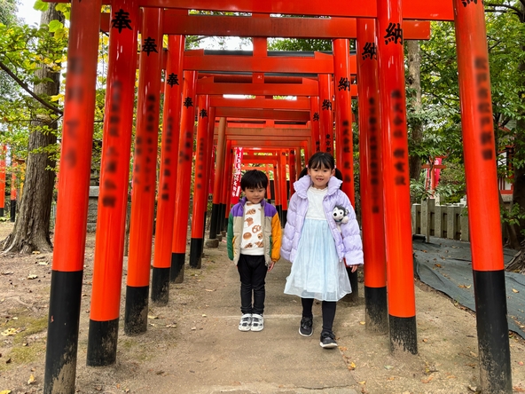ぎゅっと凝縮された稲荷山の雰囲気を、子供と一緒にのんびり体験（ユーザー提供画像）
