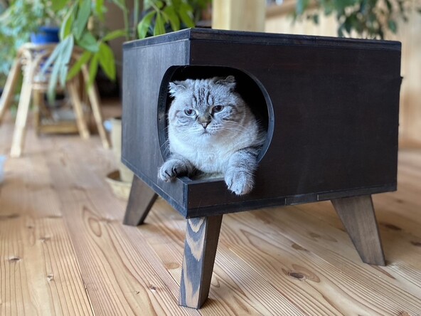 自然塗料にて仕上げていますので猫ちゃんにも安心！