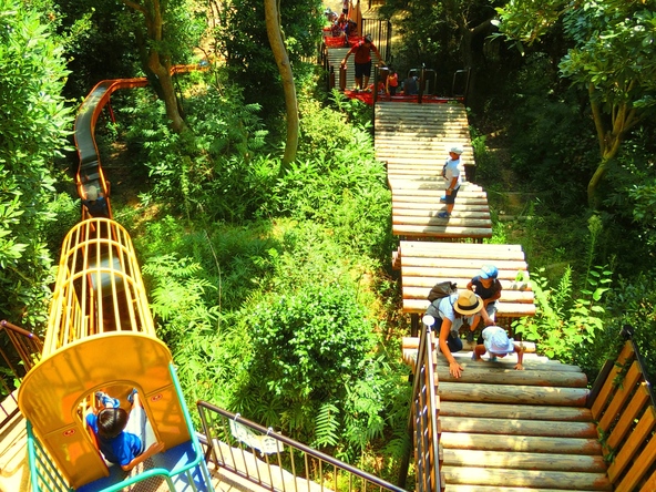 ロウバイを満喫したあとは遊具やアスレチックでリフレッシュ（画像提供：一般財団法人神戸観光局）