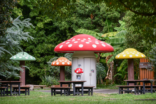 屋外で読書が楽しめる「きのこ文庫」（画像提供：maaagram / PIXTA）