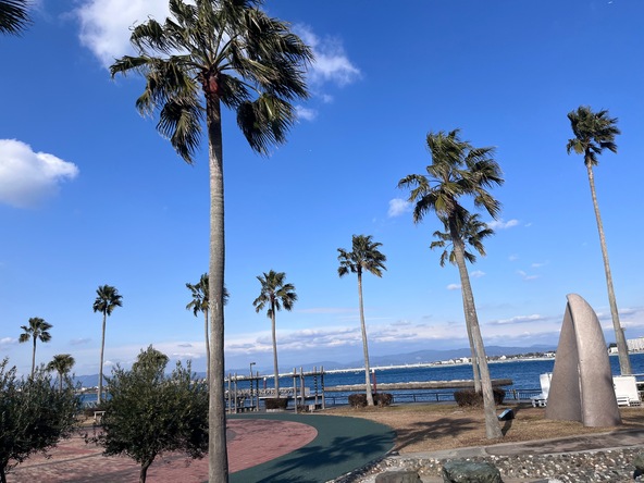 新居弁天海釣公園
