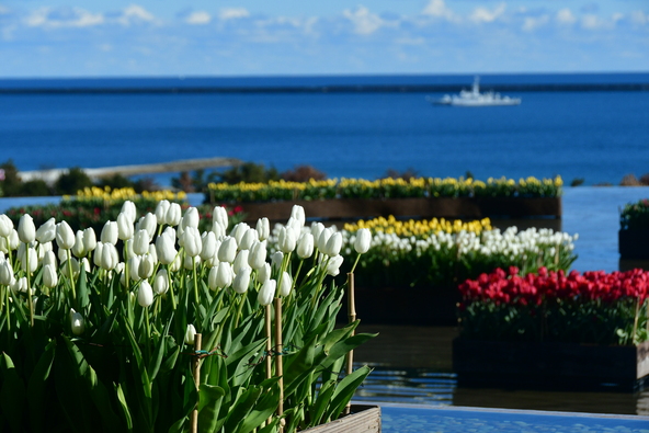まるで海に浮かんでいるかのように見える幻想的な景色