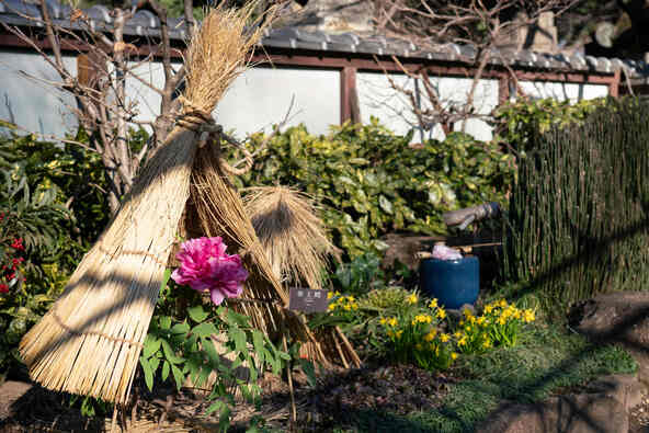 荒縄を用いた男結び