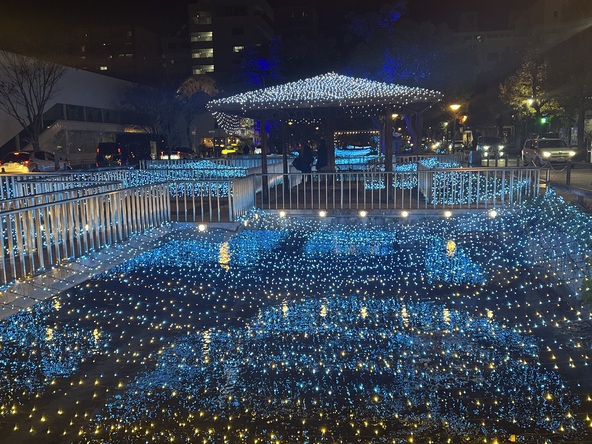 ※写真提供：岡山市