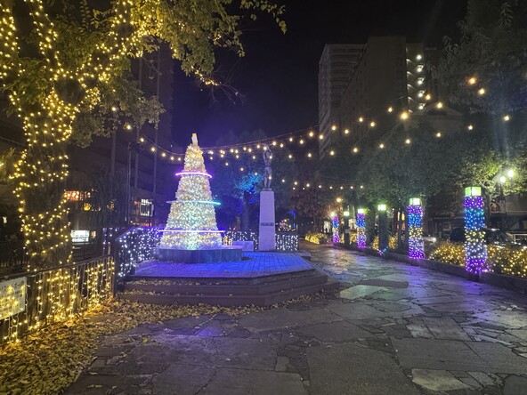 ※写真提供：岡山市