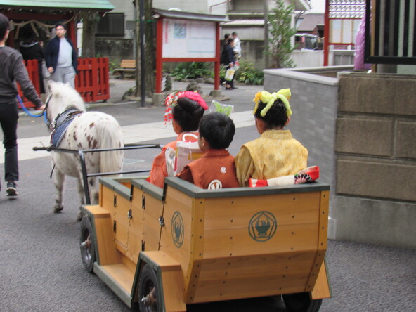 七五三の際に運行する「七五三ポニー馬車」も人気！