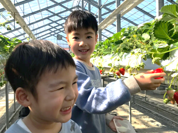 いちごが30分食べ放題の「みなかみフルーツランド　モギトーレ」。2025年は12月20日（火）まで、2026年は1月3日（土）以降、