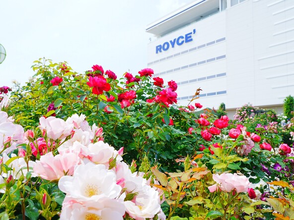 ロイズチョコレートタウン　画像： hiro cafe / PIXTA