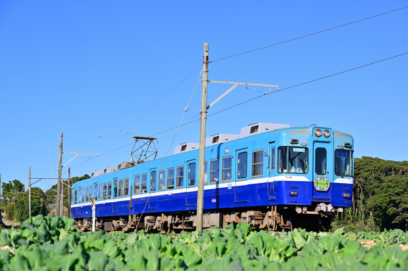 キャベツ畑を走る銚子電鉄（画像提供：Nabe / PIXTA）
