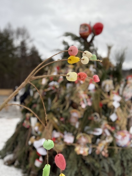 自分で作った繭玉を焼いて食べよう！