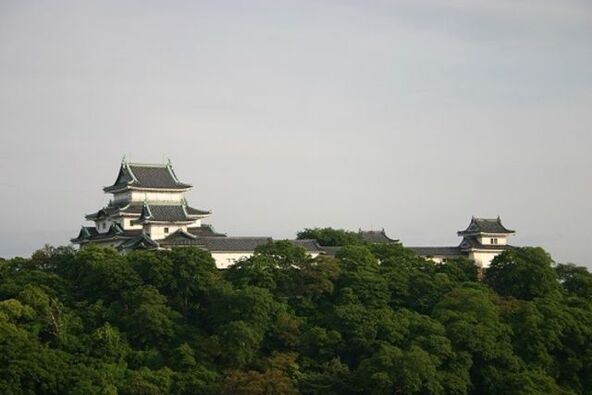 和歌山市観光協会