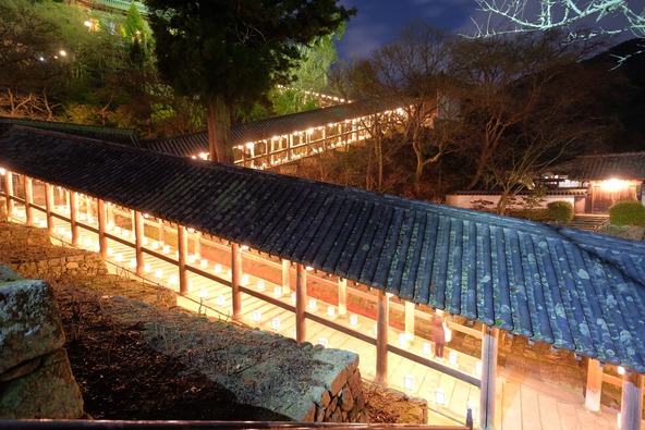 人々の願いが込められた燈籠がずらりと並びます