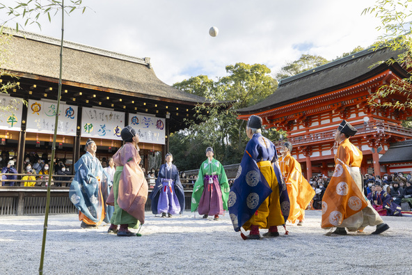 新年の境内に優雅な光景が広がります