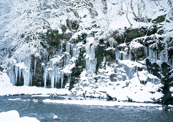 秩父市の「三十槌の氷柱」