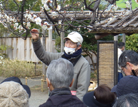 野草ウォッチング（過去開催時の様子）