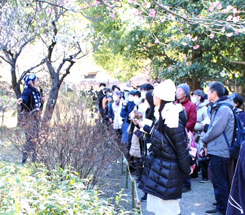 庭さんぽ（過去開催時の様子）
