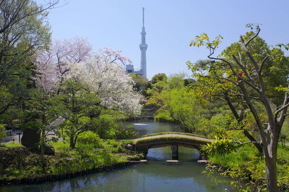 向島百花園から望むスカイツリー