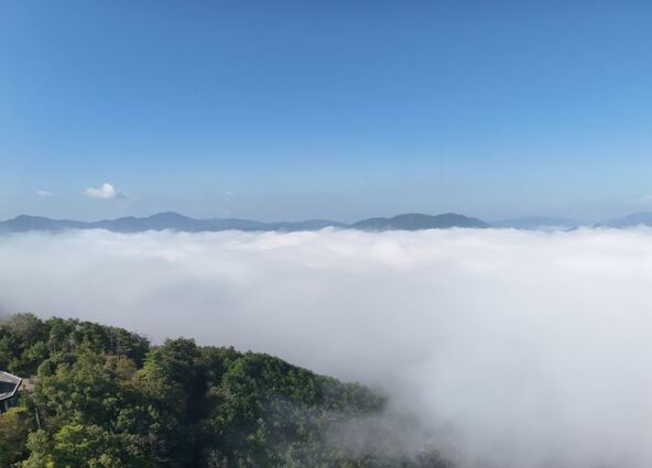 亀岡市で晩秋から冬にかけて見られる霧