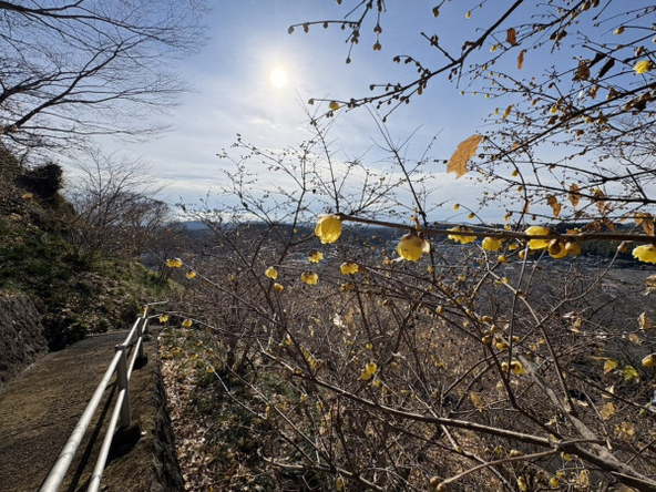 2026年1月5日の様子