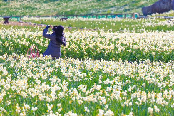 親子で写真撮影を満喫しましょう（画像提供：下田市観光協会）