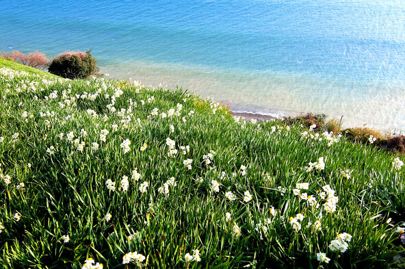 海の美しさにも感動！（画像提供：むかいのトトロ / PIXTA）