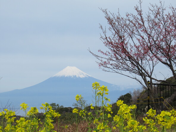 2026年1月7日の様子：恋人岬