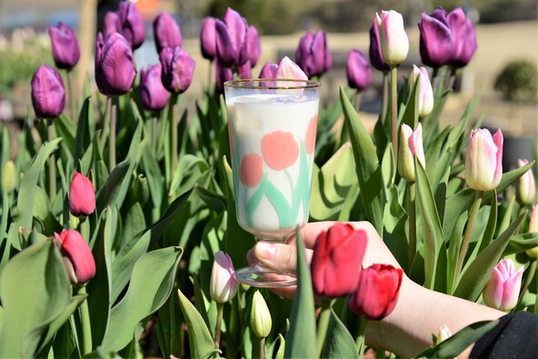 フィンランド産オーツミルクのミルクティー